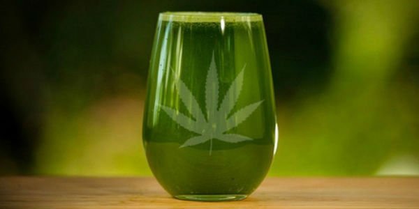 Raw Cannabis Juice Replaces 40 Medications