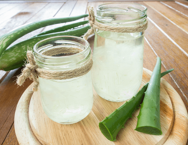How Drinking Aloe Vera Juice Benefits Your Body (Even If You are a [Newbie/Amature…)